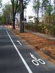 bike-lane-example-w-trees